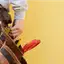 Handyman repair service in Baltimore, MD for home fixes and improvements